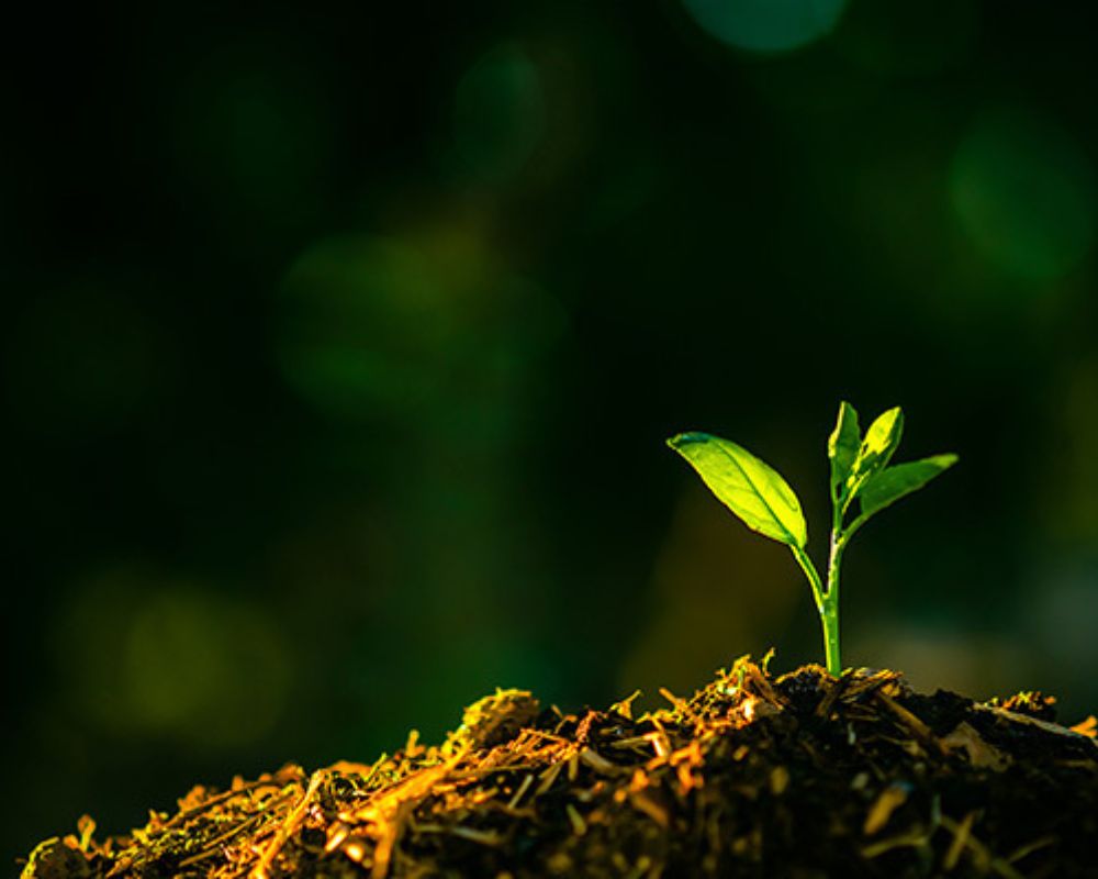 Environmental Compliance Support