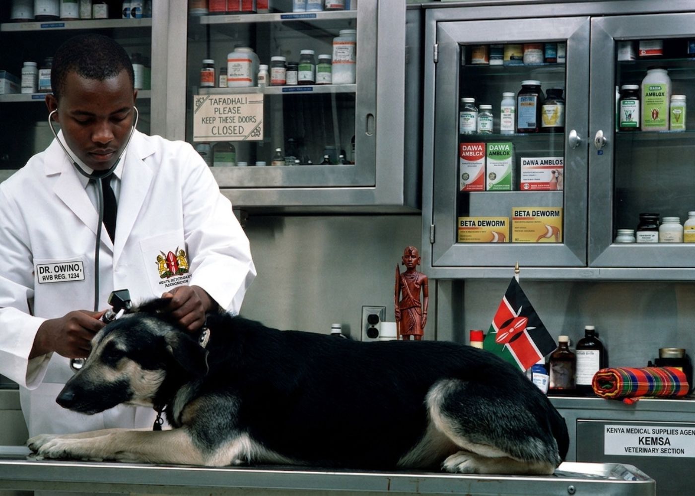 Veterinary Waste Management